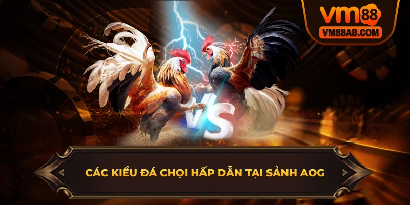 Các Kiểu Đá Chọi Hấp Dẫn Tại Sảnh AOG