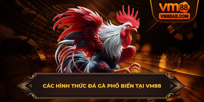Các hình thức đá gà phổ biến tại VM88