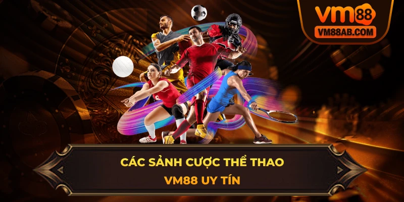 Các sảnh cược Thể Thao VM88 uy tín