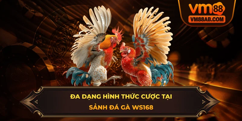Đa Dạng Hình Thức Cược