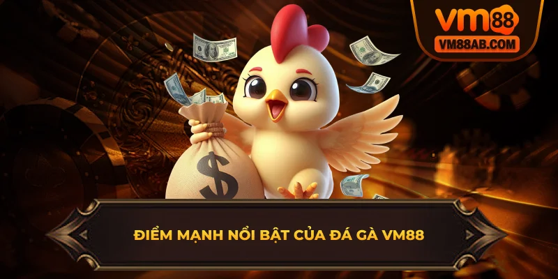 Điểm mạnh nổi bật của Đá Gà VM88