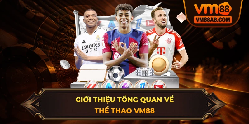 Giới thiệu tổng quan về Thể Thao VM88