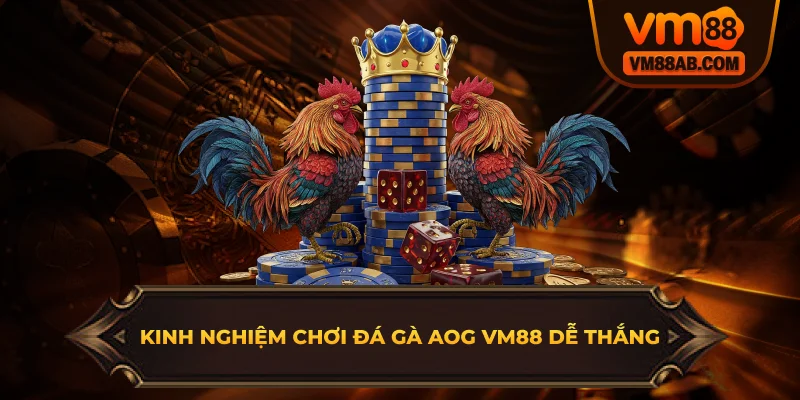 Kinh Nghiệm Chơi Đá Gà AOG VM88 Dễ Thắng