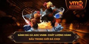Sảnh Đá Gà AOG VM88 - Chất Lượng Hàng Đầu Trong Giới Đá Chọi