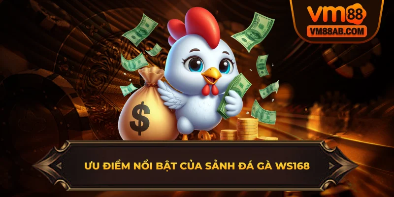 Ưu Điểm Nổi Bật Của Sảnh Đá Gà WS168