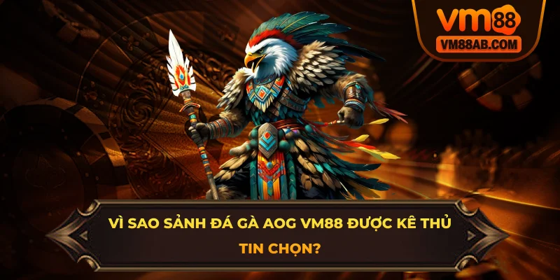 Vì Sao Sảnh Đá Gà AOG VM88 Được Kê Thủ Tin Chọn?