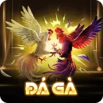 chuyen-muc-da-ga-vm88